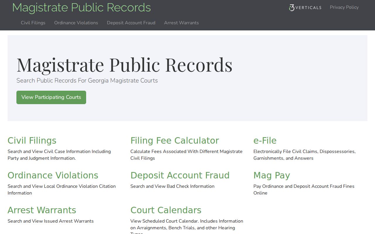 Georgia Magistrate Records public search categories for Lanier County