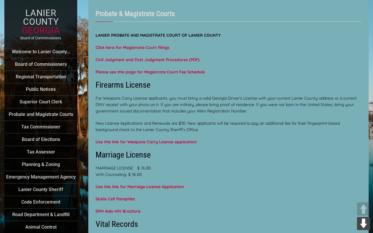 Lanier County court docket Probate and Magistrate offices